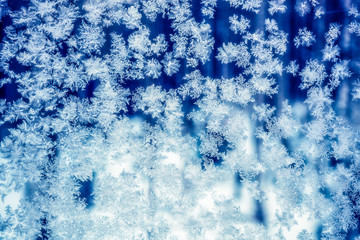 Frozen snowflakes in winter on the glass