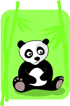 Little panda sitting in bamboo forest