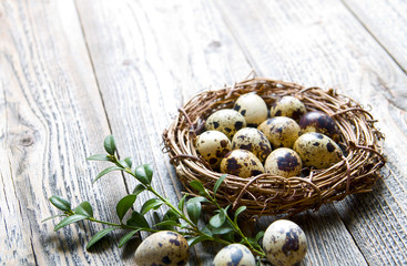 Obraz na płótnie Canvas Easter background with eggs