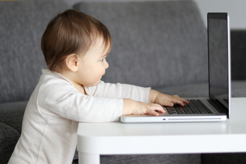 Cute little baby looking attentively at the screen of laptop with his hands on keyboard