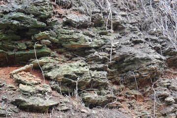 Background of sea shell rock