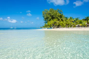 Photo sur Plexiglas Plage tropicale South Water Caye - Petite île tropicale à la barrière de corail avec plage paradisiaque - connue pour la plongée, la plongée en apnée et des vacances relaxantes - Mer des Caraïbes, Belize, Amérique centrale