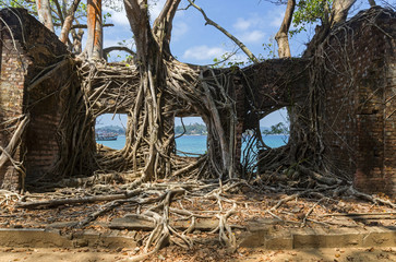 India. Ruins of Ross Island.