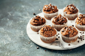Delicious homemade muffins with chocolate, copy space