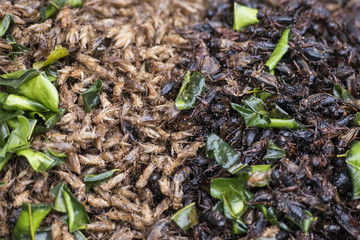 THAILAND ISAN PHIMAI THAI STREETFOOD INSECTS