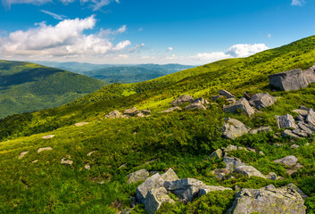 Fototapeta na wymiar green rolling hills of Carpathian mountains. beautiful summer landscape under blue sky with some clouds. nice place for hike and nature connect
