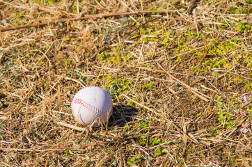 草むらに落ちていたボール