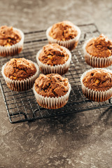 Delicious homemade Chocolate Muffins. Baking and cooking concept