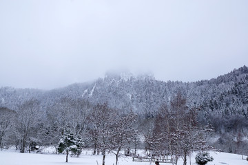 Montagne la tête dans les nuages