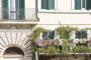Architectural detail in Rome, Italy, balcony with plants. Old building facade detail with pink, purple and white flowers in balcony.
