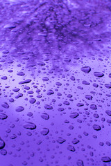 Abstract water or rain drops transparent background, wallpaper close-up