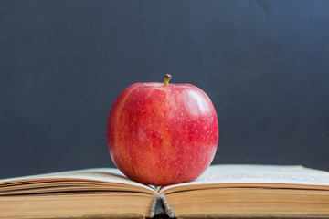 Science concept. Open Book and red apple on chalkboard background. - Powered by Adobe