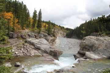 Looking Out On The Elbow Falls, Kananaskis Country, Alberta