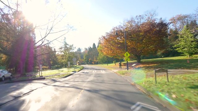 Driving by car on the highway in the autumn forest. Video in motion along the park road. Nature video. Park landscape. Washington park arboretum, Seattle, WA, USA. 4K, 3840*2160, high bit rate, UHD