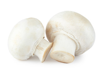 Fototapeta na wymiar raw mushroom champignon