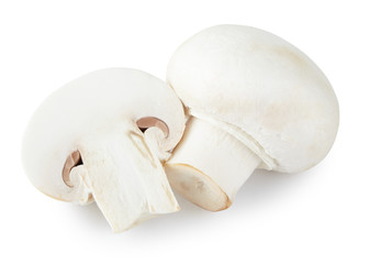 raw mushroom champignon