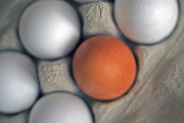 colored eggs in a cardboard box