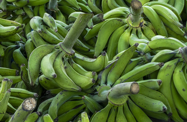 Racimos de platano banana © Alexbedoya