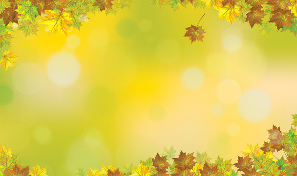 Vector autumnal maples  leaves border, autumn  background.
