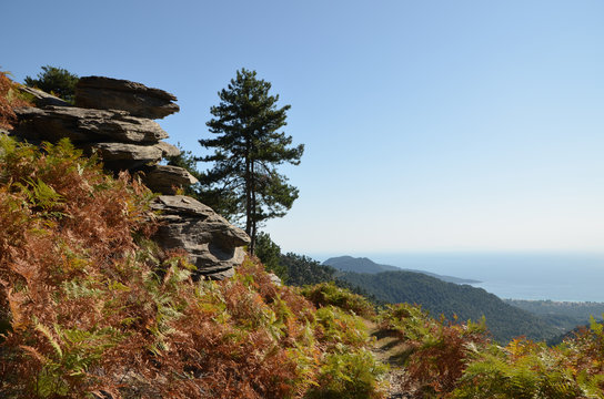 View from a hiking trail on mount Ipsarion