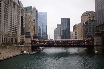 Fototapeta premium City Scape at Chicago River in Chicago in Illinois in the USA 