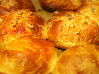 delicious beef and yeast cake baked in the oven.