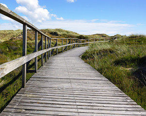 Fototapeta na wymiar Wanderweg in den Dünen am Meer mit Holzsteg