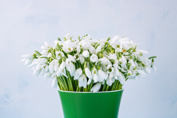 bouquet of snowdrops in a green pot on a white background