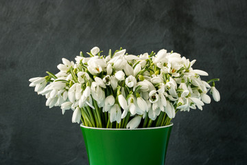 a bouquet of snowdrops in a green pot on a black concrete background