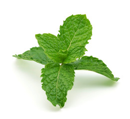 mint leaf isolated on a white background.