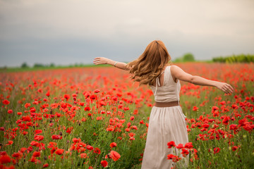 Naklejka na ściany i meble Young woman in a white dress with red hair whorl in a poppy field. Happy girl is dizzy with joy