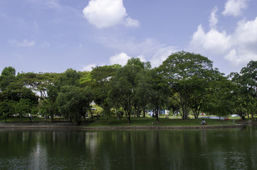 Fototapeta na wymiar Park Pond Landscape