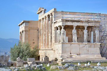 Obraz premium the ancient Erechtheion temple at Acropolis Athens Greece