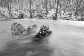 Peacefull soft flowing river in the forest with rock island