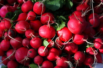 radishes
