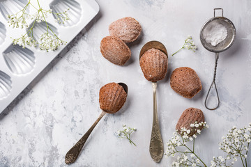 Flat lay with homemade chocolate cookies Madeleine. Holidays and party food concept with copy space. Top view.