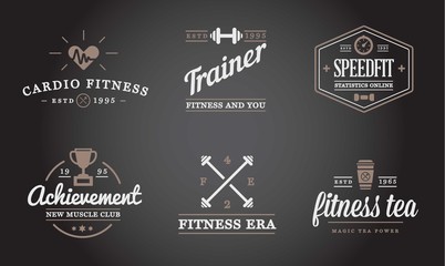 Set of Raster Fitness Aerobics Gym Elements and Fitness Icons Illustration can be used as Logo or Icon in premium quality