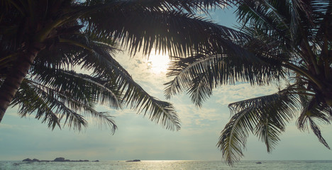 Palm trees and ocean at sunset in Sri Lanka.