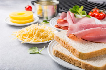 Ingredients for making grilled hawaii toast sandwich with ham, pineapple, tomato and cheese. Healthy summer food concept with free space for text.