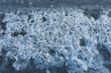 Frozen lake - ice texture