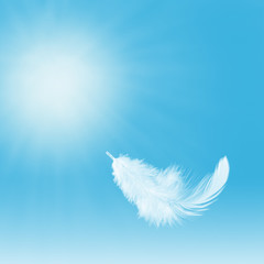 Abstract. Light fluffly white feather floating in the sky.