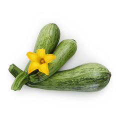 zucchini and flower isolated on white background