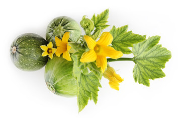 zucchini, flowers and leaves isolated on white background