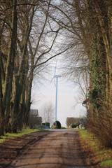 Wind power station behind bare alley in Alt Negentin, Germany