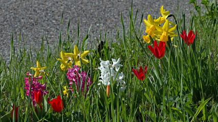 Strassenfr&uuml;hling