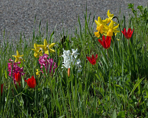 Strassenfr&uuml;hling
