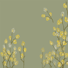 Flowering willow.Fluffy branches Salix.Gray flowers in yellow pollen.