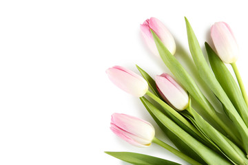 Bouquet of pink tulips on white background