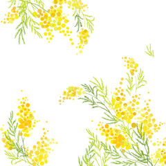 Yellow mimosa, flowers of yellow spots, splashes. Spring wreath of the brightest yellow flowers. Hello Spring
