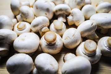 mushrooms on the table